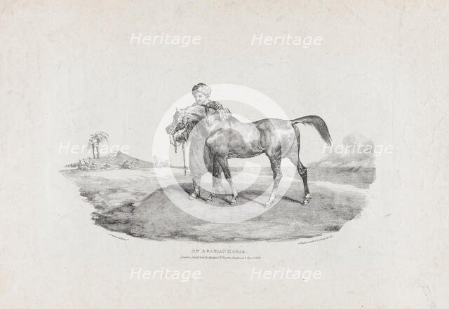 An Arabian Horse, 1821. Creators: Theodore Gericault, Charles Joseph Hullmandel.