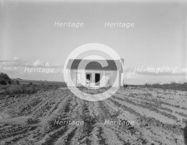 Abandoned tenant house, Childress County, Texas, 1937. Creator: Dorothea Lange.