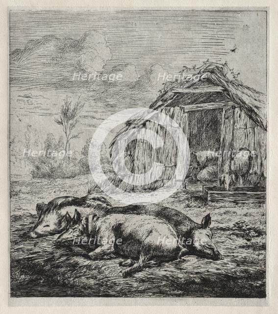Three Swine Lying in Front of a Sty, 1850. Creator: Charles Meryon (French, 1821-1868).