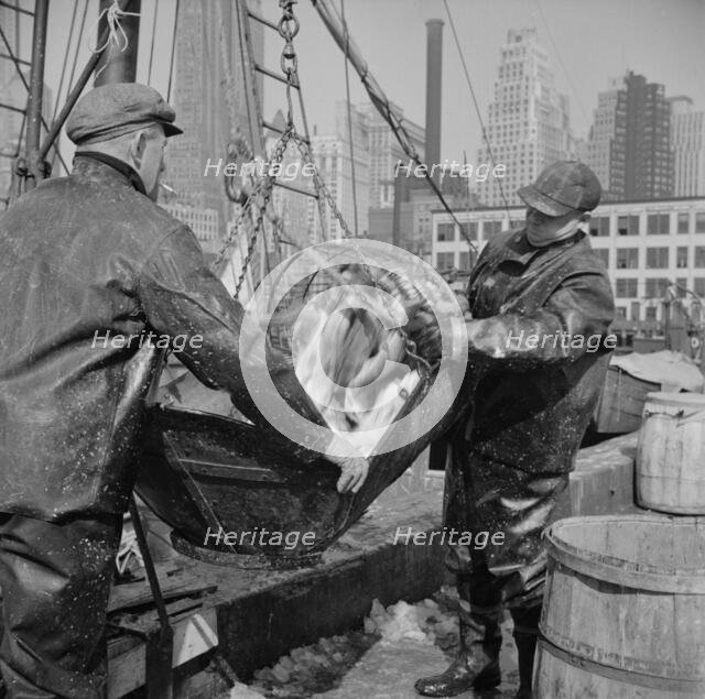 Possibly: Filling a barrel with codfish at the Fulton fish market, New York, 1943. Creator: Gordon Parks.