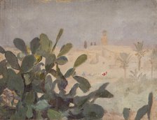 Spain (Elche), 1899. Creator: Jan Ciaglinski.