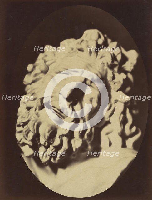 Figure 71: Same head as in Plate 70, 1854-56, printed 1862. Creators: Duchenne de Boulogne, Adrien Alban Tournachon.