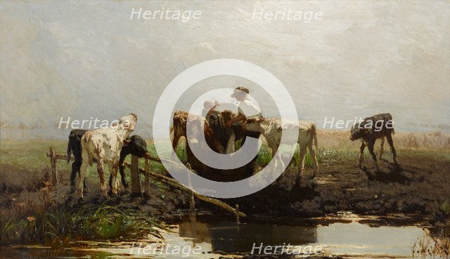 Calves at a trough. Artist: Maris, Willem (1844-1910)