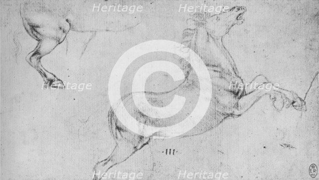 'Studies of a Rearing Horse and a Horse's Hind-Quarters', c1480 (1945). Artist: Leonardo da Vinci.