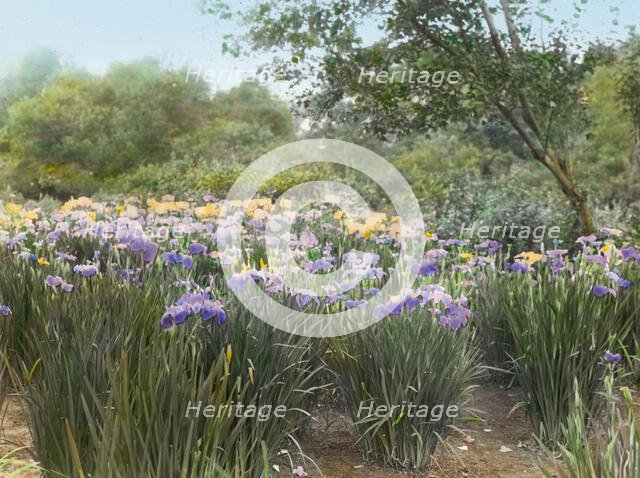 "Grey-Croft," Stephen Swete Cummins house, Huntting Lane, East Hampton, New York, 1913. Creator: Frances Benjamin Johnston.