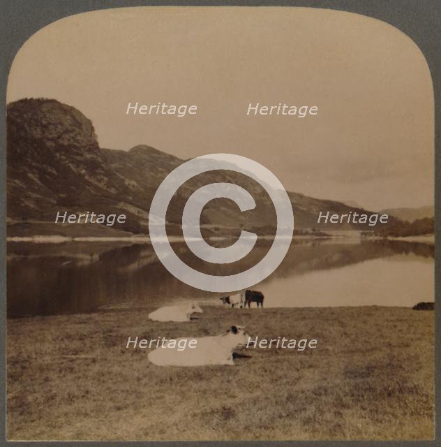 'Thirlmere, a lake reservoir, the water-supply of Manchester (96 miles distant, Lake District, Eng.) Creator: Unknown.