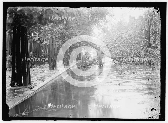 Storm damage, between 1913 and 1918. Creator: Harris & Ewing.