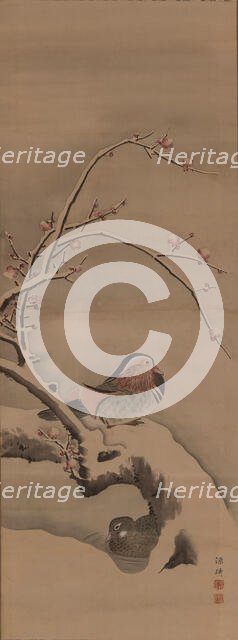 A pair of mandarin ducks, 1780-1790. Creator: Ki (Genki); Koman (1747-1797).