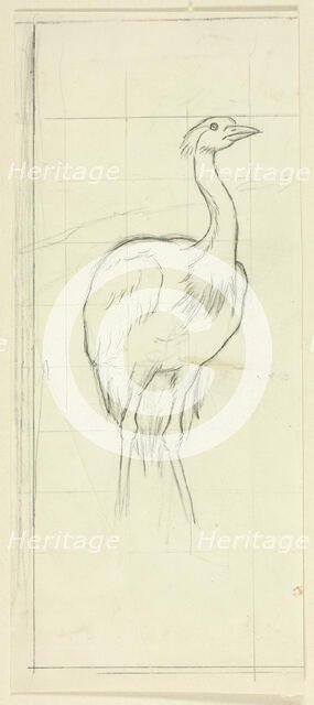 Standing Bird, n.d. Creator: Henry Stacy Marks.