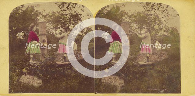 The poppies, 1860s. Creator: E. Rowell.