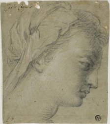 Female Head in Profile to Right, n.d. Creator: Carlo Cignani.