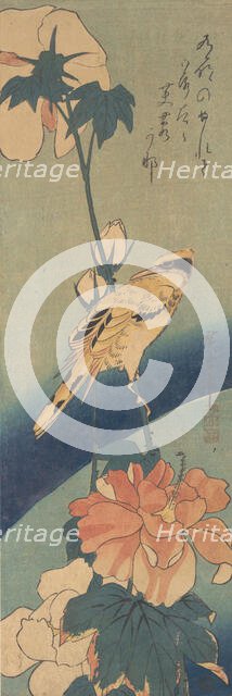 Black-naped Oriole Perched on a Stem of Rose Mallow, ca. 1834., ca. 1834. Creator: Ando Hiroshige.