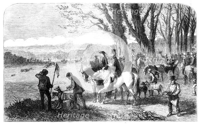 Coursing meeting at Hampton Park, 1860. Creator: Frederick John Skill.