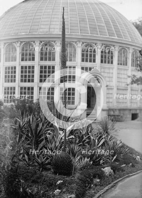 Botanical Gardens, 1917 or 1918. Creator: Harris & Ewing.