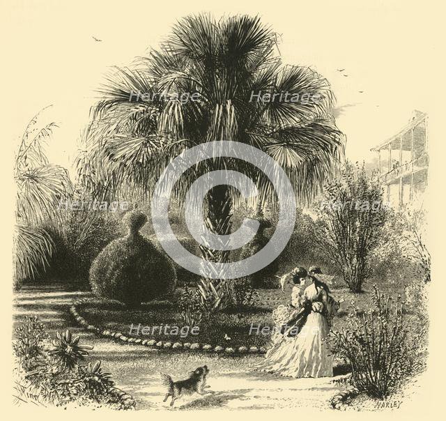 'A Garden in Charleston', 1872.  Creator: John J. Harley.