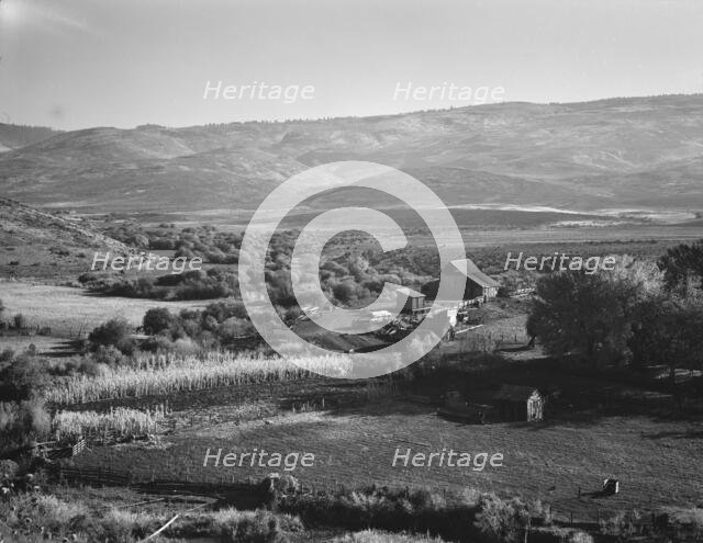 Squaw Valley farm, Gem County, Idaho, 1939. Creator: Dorothea Lange.