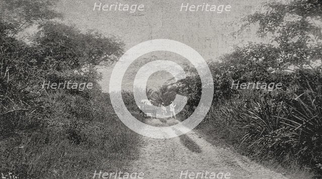 Morro road, Santiago de Cuba, Cuba, 1898. Creator: Unknown.