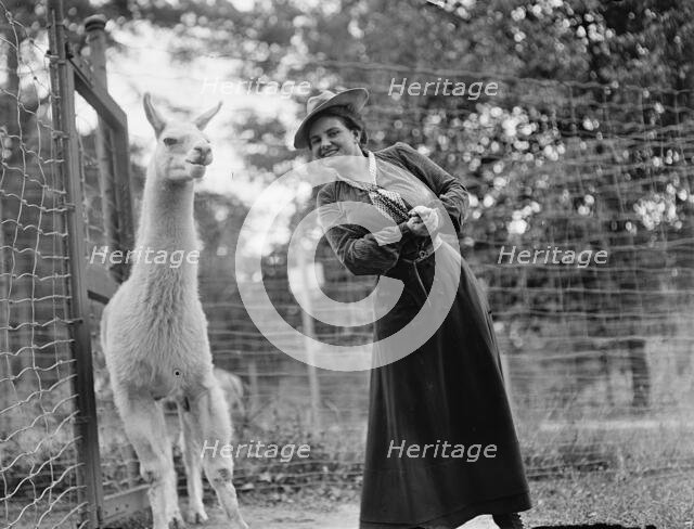 Mrs. Franklin Adams, nee Harriet Chalmers, at Zoo with Llama, 1912. Creator: Harris & Ewing.