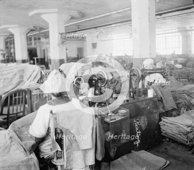 P.O. Dept., between 1910 and 1920. Creator: Harris & Ewing.