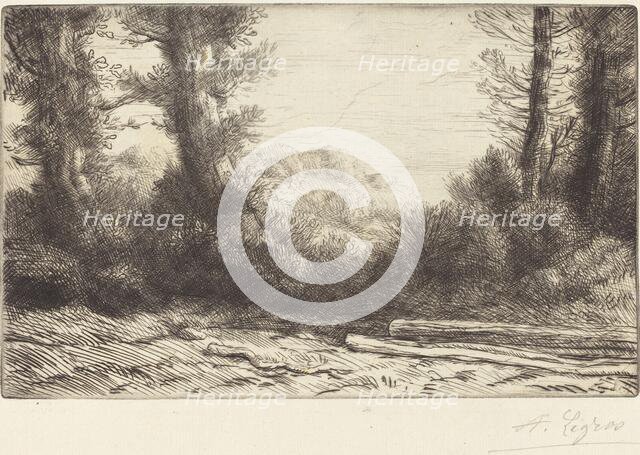 Edge of a Wood (Lisiere de bois). Creator: Alphonse Legros.