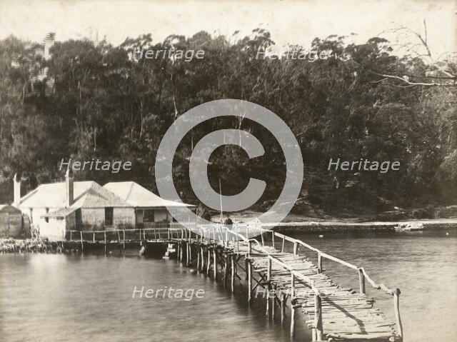 Mosman Bay, c1880. Creator: Unknown.