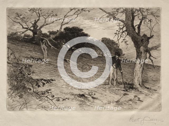 An Old New England Orchard, 1883. Creator: George Henry Smillie (American, 1840-1921).