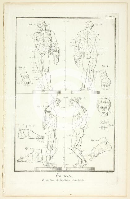 Design: Proportions of the Antinoüs Statue, from Encyclopédie, 1762/77. Creator: A. J. Defehrt.