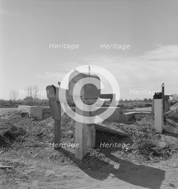 Mail boxes and irrigation gates, Imperial Valley, California, 1937. Creator: Dorothea Lange.