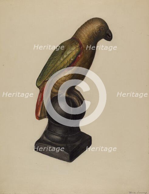 Parrot, c. 1937. Creator: Mina Lowry.