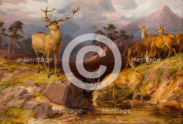 Deer, 1854. Creator: James William Giles.