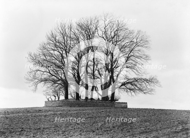 Round barrow, near Bourton on the Water, Gloucestershire, c1860-c1922. Artist: Henry Taunt.
