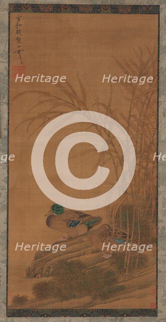 Two ducks among reeds at the water's edge, Ming or Qing dynasty, 15th-18th century. Creator: Unknown.