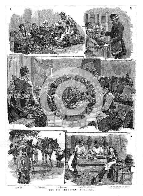 'The Fig industry in Smyrna', 1886.  Creator: Unknown.