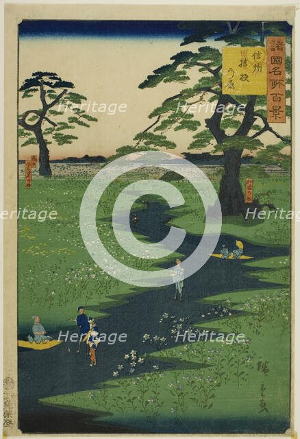 Kikyo Plain, Shinshu Province (Shinshu Kikyogahara) from the series "One Hundred Famous Vi..., 1860. Creator: Utagawa Hiroshige II.