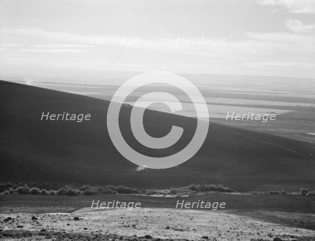 Umatilla Valley wheat farms, Umatilla County, Oregon, 1939. Creator: Dorothea Lange.