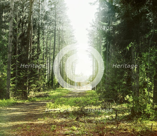 Gethsemane Monastery in Nil's Hermitage, 1910. Creator: Sergey Mikhaylovich Prokudin-Gorsky.