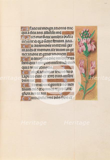 Hours of Queen Isabella the Catholic, Queen of Spain: Fol. 207r, c. 1500. Creator: Master of the First Prayerbook of Maximillian (Flemish, c. 1444-1519); Associates, and.