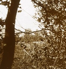 German trenches, c1914-c1918. Artist: Unknown.