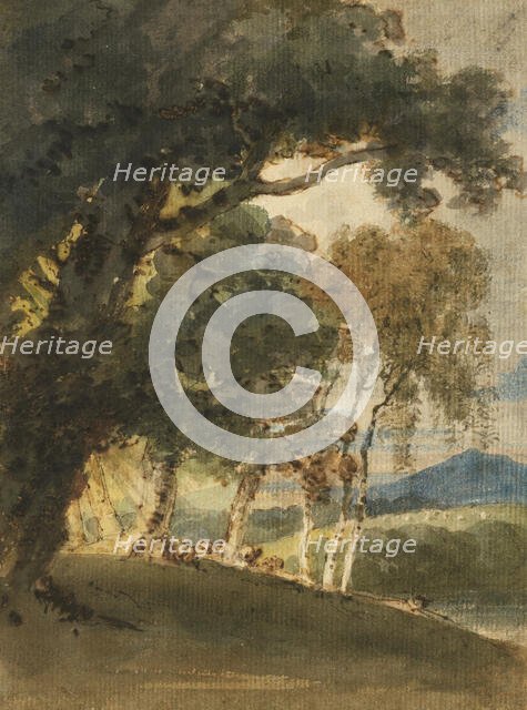 A River Valley And Distant Hill Seen Through Trees, c1800. Creator: Thomas Girtin.