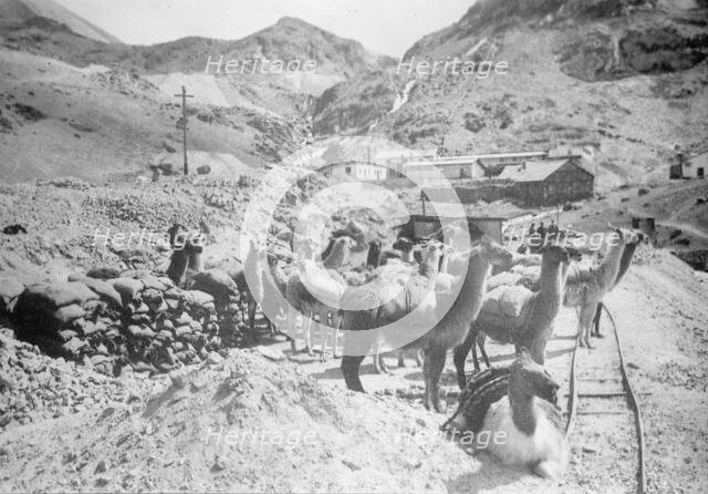 Peru Scenes, 1912. Creator: Harris & Ewing.