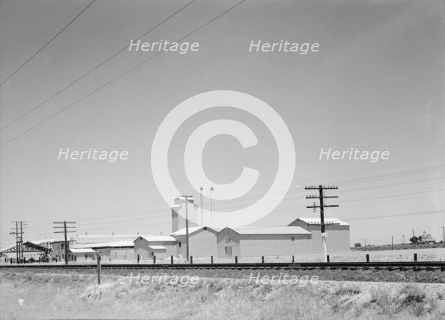 Winery belonging to Muscat Cooperative, on US 99. between Tulare and Fresno, California, 1939. Creator: Dorothea Lange.