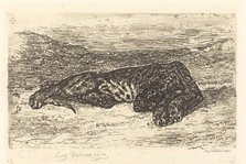 Tiger Sleeping in the Desert (Tigre couché dans le désert), 1846. Creator: Eugene Delacroix.