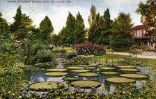 Scene in Tower Grove Park, St Louis, Missouri, USA, 1908. Artist: Unknown