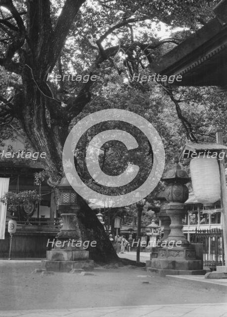 Travel views of Japan and Korea, 1908. Creator: Arnold Genthe.