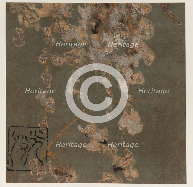 Wisteria blossoms, Edo period, early 17th century. Creator: Hon'ami Kôetsu.