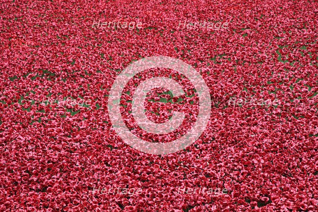 'Blood Swept Lands and Seas of Red', Tower of London, 2014.  Artist: Sheldon Marshall