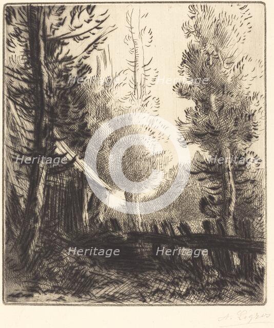 Shed (Le hangar). Creator: Alphonse Legros.