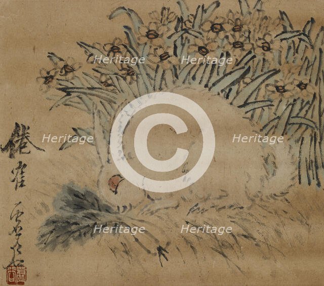 Rabbit and narcissus, . Creator: Xugu.