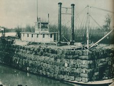 'A full load of Cotton often mounts high over the decks of the Mississippi steamboats', 1937. Artist: Unknown.