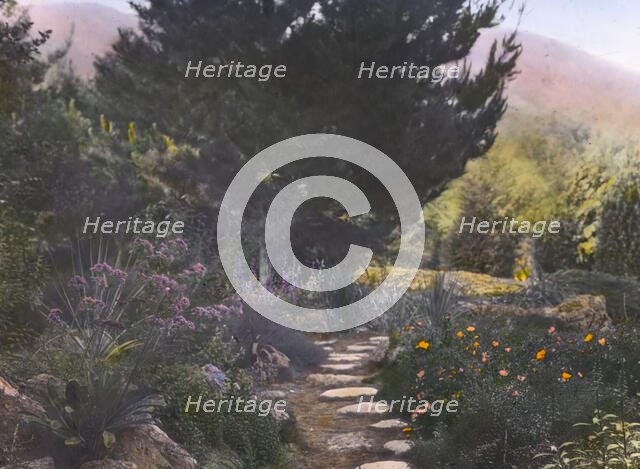 William Alexander Spinks, Jr., ranch, Foothill Boulevard, Duarte, California, 1917. Creator: Frances Benjamin Johnston.